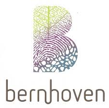 Logo Bernhoven Ziekenhuis